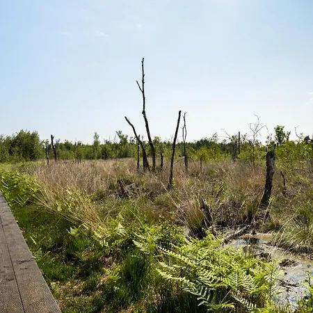 Hofparken Wiltershaar - Groepsaccommodatie Met Privé Wellness * Kotten