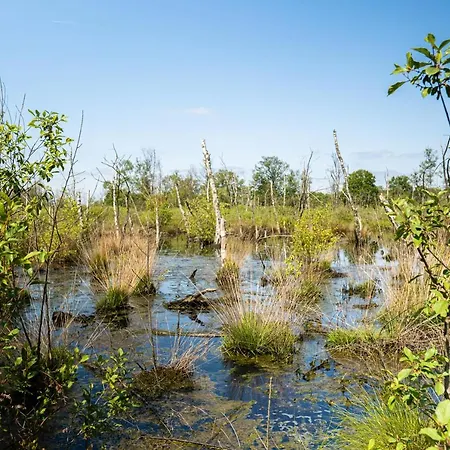 Hofparken Wiltershaar - Groepsaccommodatie Met Prive Wellness