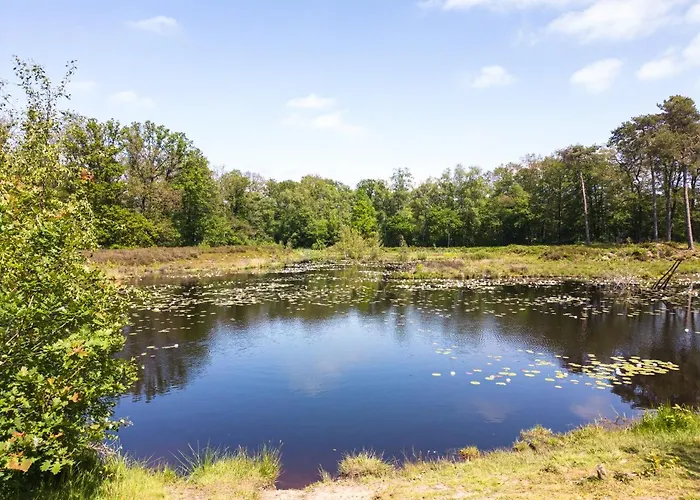 Hofparken Wiltershaar - Groepsaccommodatie Met Privé Wellness
