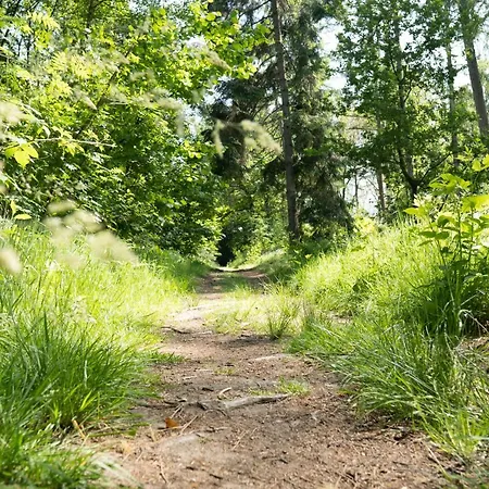 Appartamento Hofparken Wiltershaar - Groepsaccommodatie Met Privé Wellness *