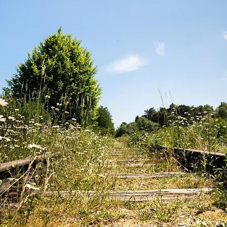 Appartamento Hofparken Wiltershaar - Groepsaccommodatie Met Privé Wellness *