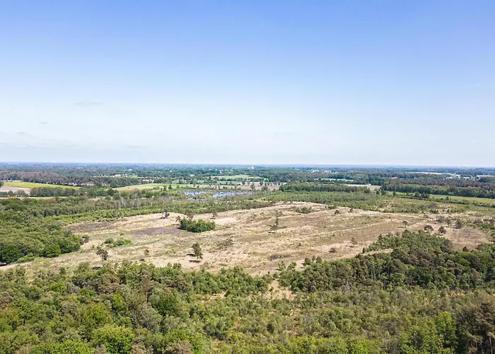 Hofparken Wiltershaar - Groepsaccommodatie Met Privé Wellness