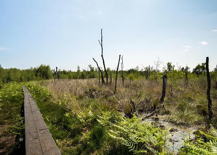 Hofparken Wiltershaar - Groepsaccommodatie Met Privé Wellness * Kotten