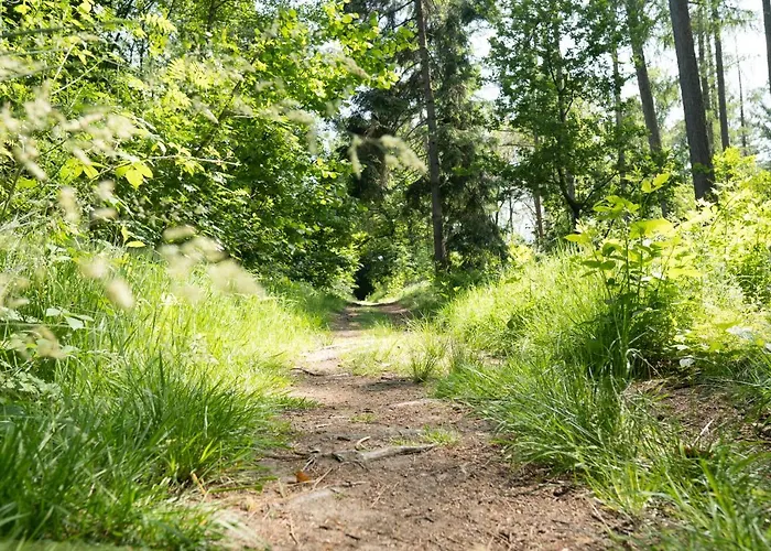 Appartamento Hofparken Wiltershaar - Groepsaccommodatie Met Privé Wellness *