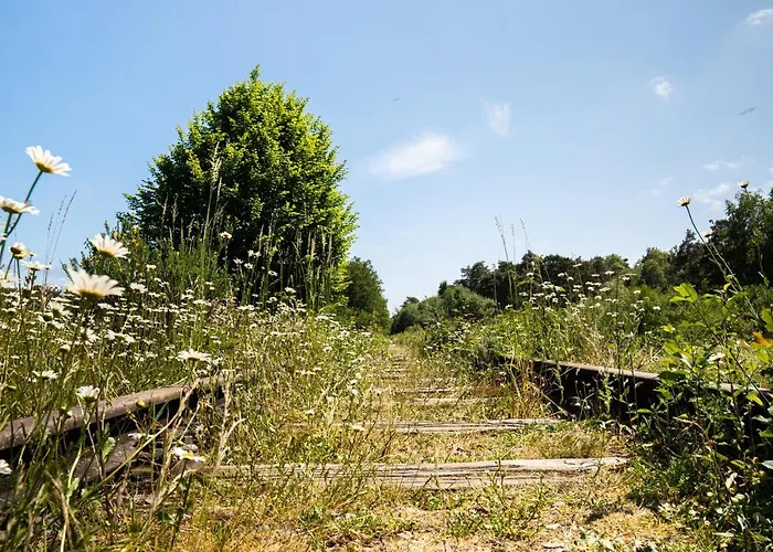 Appartamento Hofparken Wiltershaar - Groepsaccommodatie Met Privé Wellness *