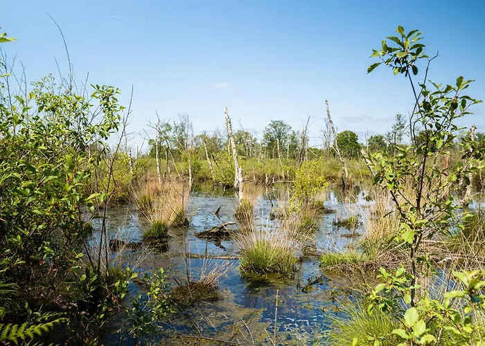 Hofparken Wiltershaar - Groepsaccommodatie Met Privé Wellness