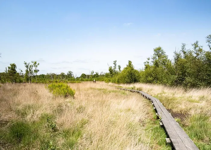 Hofparken Wiltershaar - Groepsaccommodatie Met Privé Wellness Appartamento